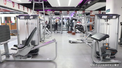 合作共贏 共謀發(fā)展 中投國控實(shí)業(yè)集團(tuán)深入玖體健身服務(wù)公司交流，探索科技中介服務(wù)新機(jī)遇